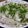 B子chan's cooksnap of when they made 簡単♪水餃子.