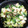 ひトみ's cooksnap of when they made お弁当に♪青梗菜のオイスターソース炒め.