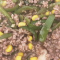 xiulu's cooksnap of when they made 簡単すぎる青椒肉絲。.