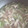 クックTOJFIZ☆'s cooksnap of when they made ネギの卵とじ.