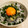 ともみん❤'s cooksnap of when they made 漁師さんに教わった生釜揚げしらすハーフ丼.