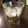 zrose's cooksnap of when they made 梅シロップ.