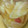 Ｋきいちゃん's cooksnap of when they made 新生姜の甘酢漬け　手作りガリ.