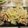 ピロエ's cooksnap of when they made 豚肉の塩麹生姜焼き.