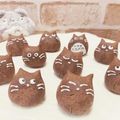 アーリータイムズ's cooksnap of when they made 簡単‼もちもちポンデ♡ココア味☆.