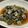 yukiはぴ's cooksnap of when they made ニナ貝（しったか、バテイラ、つぶ貝）煮付.