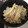 yunatan1211's cooksnap of when they made はちくと油揚げの炊き込み☆白だしで簡単♡.