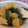 こうきとだいきママ's cooksnap of when they made ぶりのアラと大根の煮物.