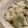 ジョンタ☆'s cooksnap of when they made そら豆としらす入り梅ごはん.