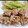 ねずみんパラダイス's cooksnap of when they made 本格派　焼売.