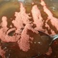 makitoshi7's cooksnap of when they made 片栗粉で！フルーツわらびもち.