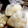 とも・たいママ's cooksnap of when they made 新玉ねぎを冷凍保存！(大量)簡単調理用.