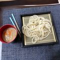 ぬこたん✩'s cooksnap of when they made シチューをリメイク　つけ麺（うどん）.