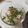 クックEDET0E☆'s cooksnap of when they made シャキシャキ水菜とみょうがの豆腐サラダ.