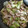 yokikana's cooksnap of when they made 簡単★豚肉とレタス煮込み.
