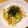 mimo27's cooksnap of when they made 野菜炒め！？明太マヨ.