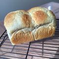 しげその's cooksnap of when they made オレンジパン.
