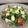 ☆こまっと☆'s cooksnap of when they made 粉チーズdeＭＡＧＩＣ✿絶対内緒のサラダ.