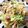 ことたに's cooksnap of when they made サバ水煮缶とキャベツのペペロンチーノ.