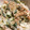 m11m11's cooksnap of when they made やみつき！ちくわときゅうりのおかか梅マヨ.