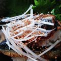 ☆mamingo☆'s cooksnap of when they made 鰯のかば焼きで夏を乗り切ろう！！.