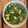 amazones's cooksnap of when they made パクチーうどん☆ナンプラー入れてアジアン.