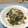 明日の風☆'s cooksnap of when they made 簡単！しらすのねぎ塩丼.