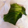 ももゆみ1230's cooksnap of when they made 【プロの料理人の裏技】バジルの保存法.