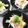 クッキン坊主's cooksnap of when they made 【豆腐】みょうが葱山椒塩ダレ～冷奴～.