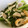 さおりん@料理特訓中's cooksnap of when they made 小松菜とちくわの胡麻和え☆.