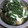 らてもか's cooksnap of when they made ねぎのせマヨソースのチキン南蛮風♪.