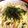 やま⌘'s cooksnap of when they made 塩麹とウェイパーで、絶品ラーメンスープ.