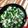 りょーこ0520's cooksnap of when they made 豚にら炒め.