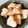 ☆つぼかな☆'s cooksnap of when they made 簡単！マーマレードクッキー.