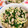 猫のミイヤ's cooksnap of when they made 豚肉とニラ、えのきだけの卵とじ.
