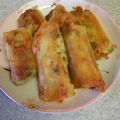 うぐいす♪'s cooksnap of when they made 大葉と鶏ひき肉の簡単チーズ春巻き.