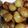 クックAOSROP☆'s cooksnap of when they made *. ｡.新じゃがの煮っ転がし ｡.:*.