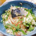 ＪＵＮちゃン's cooksnap of when they made サバ水煮のっけ素麺.