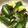 Marmo's cooksnap of when they made 簡単♪止まらない！たたききゅうり.