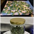 caterina's cooksnap of when they made オレガノの保存方法.