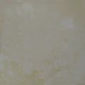 ☆まめたん☆'s cooksnap of when they made 消毒不要！手作りヨーグルト！.