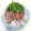 モコナもどき's cooksnap of when they made 〆かつお！（かつおのしぼり）.