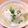 ステルトミチル's cooksnap of when they made 簡単！激うま！鶏塩うどん.
