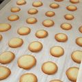 Sweety30's cooksnap of when they made サックサク！プチラングドシャ(抹茶も…).