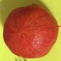 クックDRQB6R☆'s cooksnap of when they made 直火で失礼！つるん♡トマト皮むき.