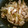 あおたいそう's cooksnap of when they made 豚肉もやしとエリンギ 長ネギの中華炒め.