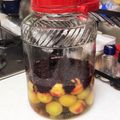 ラブ♡キッチン's cooksnap of when they made ＊南高梅＊ラッキョウ酢で簡単梅漬け.