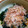 ミラクルクルygro's cooksnap of when they made ☆さっともう一品♪乾燥わかめのお浸し☆.