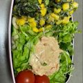 stillhunt's cooksnap of when they made ～ヒット☆コーンとワカメのかき揚げ～.