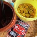 Satoruん's cooksnap of when they made まだ間に合う。梅干し〈完成まで〉.